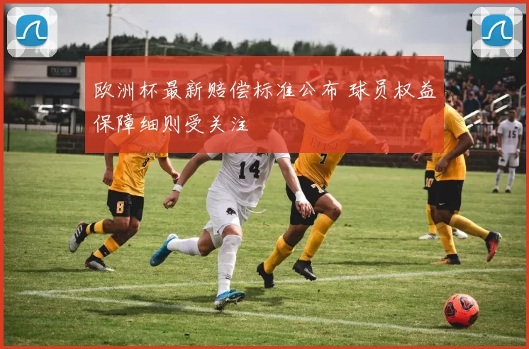 欧洲杯最新赔偿标准公布 球员权益保障细则受关注
