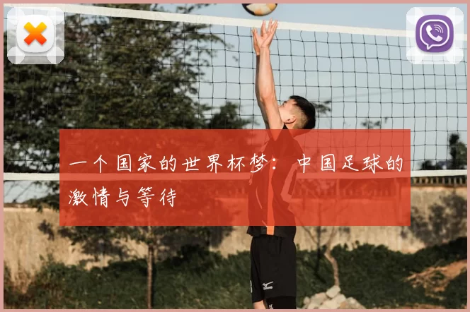 一个国家的世界杯梦：中国足球的激情与等待