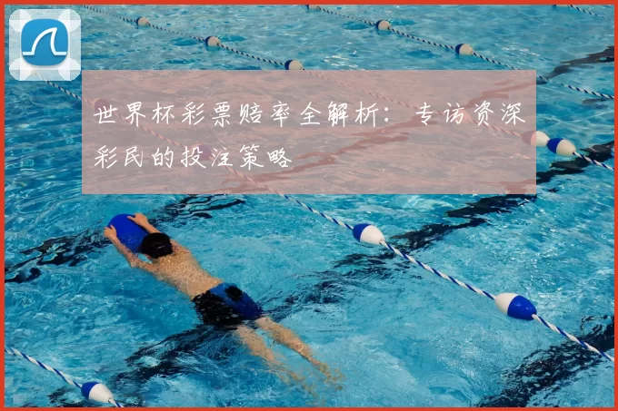 世界杯彩票赔率全解析：专访资深彩民的投注策略