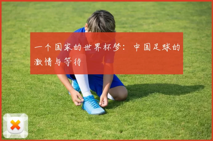 一个国家的世界杯梦：中国足球的激情与等待