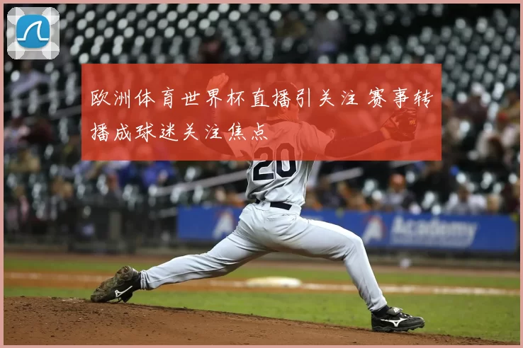 欧洲体育世界杯直播引关注 赛事转播成球迷关注焦点