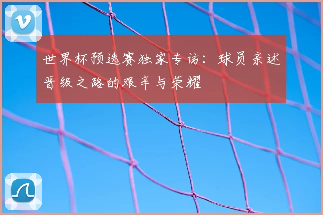 世界杯预选赛独家专访:球员亲述晋级之路的艰辛与荣耀